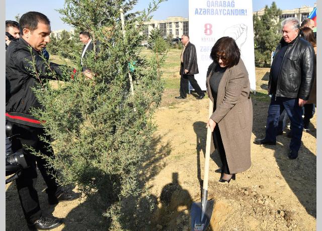 Milli Majlis Honours V-Day with a Tree-Planting Campaign in Baku - POTO